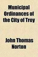 Produktbild: Municipal Ordinances of the City of Troy