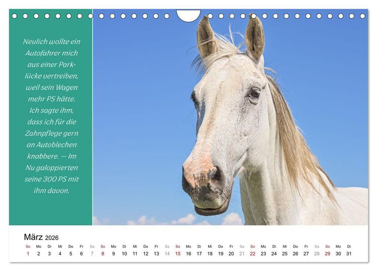 Produktbild: Tiere und feiner Humor (Wandkalender 2026 DIN A4 quer), CALVENDO Monatskalender
