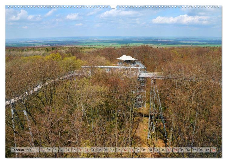Produktbild: Der Hainich in Th&uuml;ringen - Weltnaturerbe (Wandkalender 2026 DIN A2 quer), CALVENDO Monatskalender