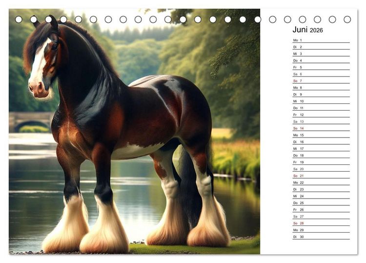 Produktbild: Kaltbl&uuml;ter - Die majest&auml;tische Kraft und Sch&ouml;nheit der Kaltblutpferde (Tischkalender 2026 DIN A5 quer), CALVENDO Monatskalender