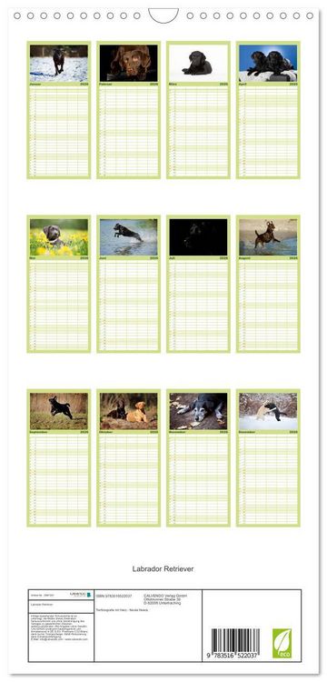 Produktbild: Familienplaner 2026 - Labrador Retriever mit 5 Spalten (Wandkalender, 21 x 45 cm) CALVENDO