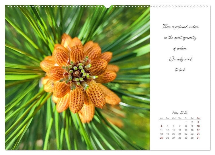 Produktbild: Golden breaks with mindfulness (Wall Calendar 2026 DIN A2 landscape), CALVENDO 12 Month Wall Calendar