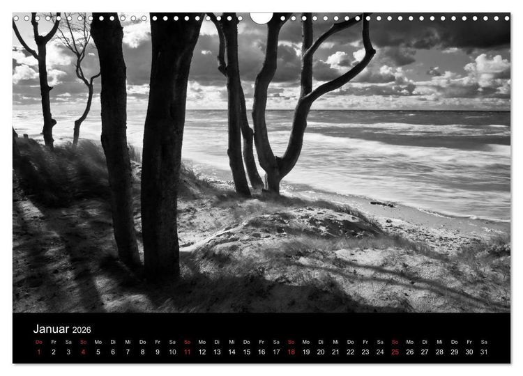Produktbild: Strandspaziergang an der Ostsee (Wandkalender 2026 DIN A3 quer), CALVENDO Monatskalender