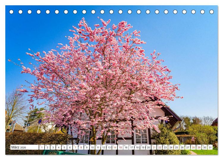Produktbild: Wustrow Impressionen (Tischkalender 2026 DIN A5 quer), CALVENDO Monatskalender