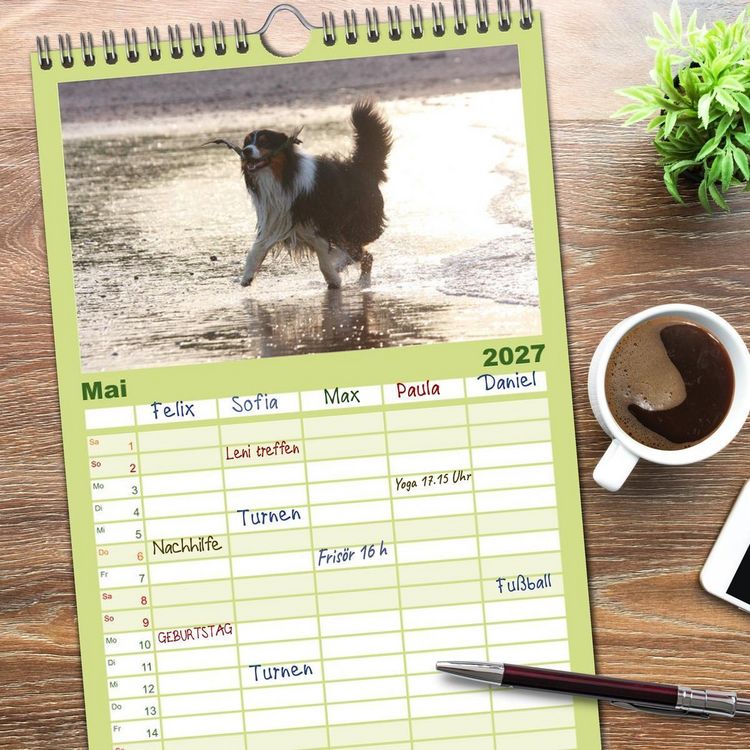 Produktbild: Familienplaner 2027 - Australian Shepherd - H&uuml;tehunde mit Familienanschluss mit 5 Spalten (Wandkalender, 21 x 45 cm) CALVENDO