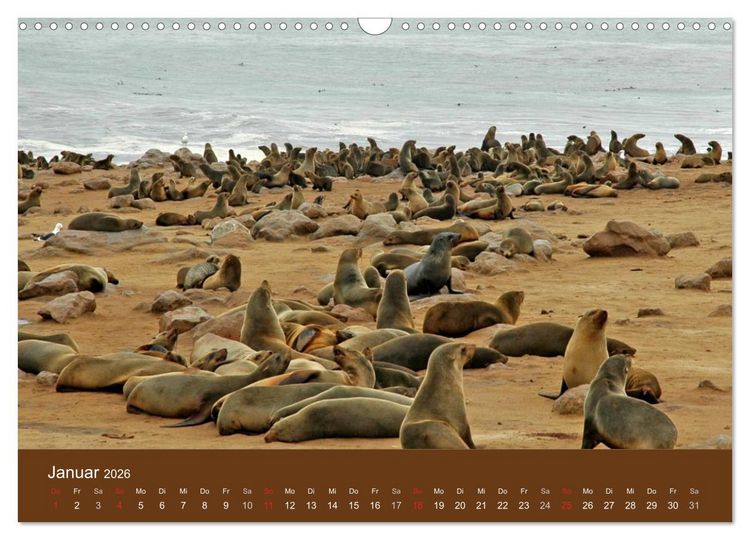 Produktbild: Namibia - faszinierende Menschen und Tiere (Wandkalender 2026 DIN A3 quer), CALVENDO Monatskalender