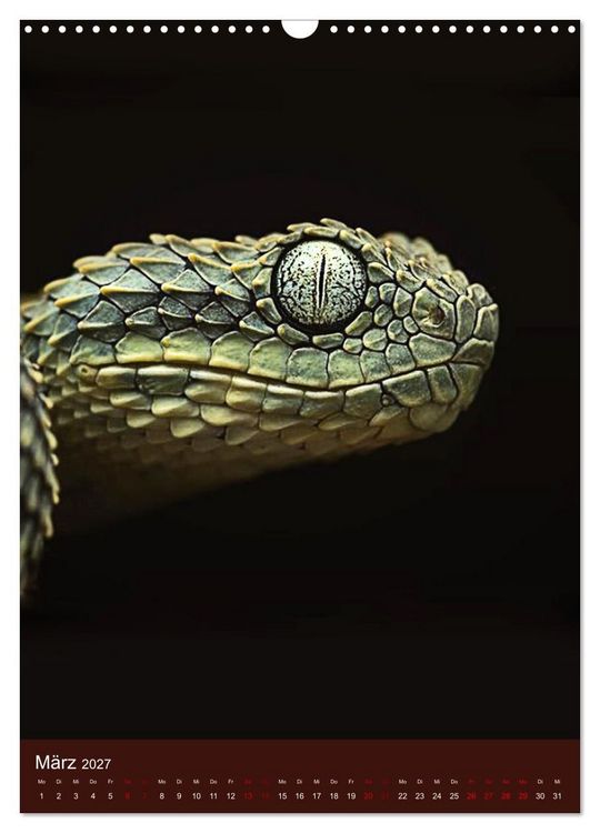Produktbild: The Power Of Snake (Wandkalender 2027 DIN A3 hoch), CALVENDO Monatskalender