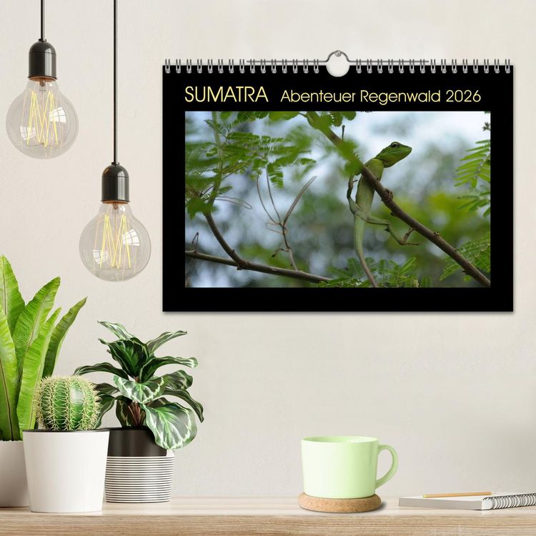 Produktbild: SUMATRA Abenteuer Regenwald (Wandkalender 2026 DIN A4 quer), CALVENDO Monatskalender