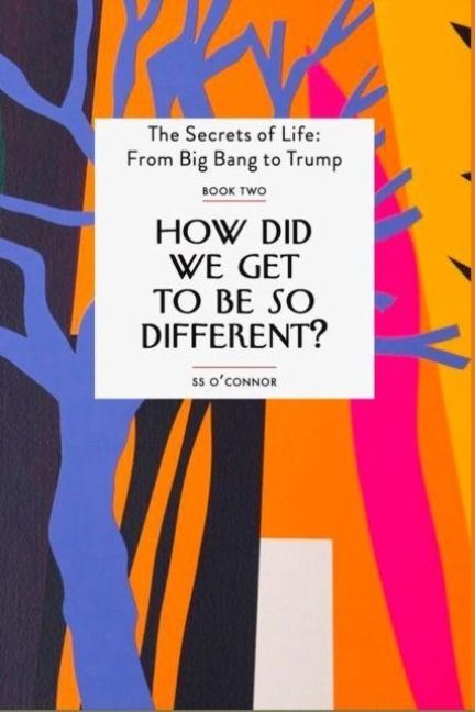 Produktbild: How Did We Get To be So Different?