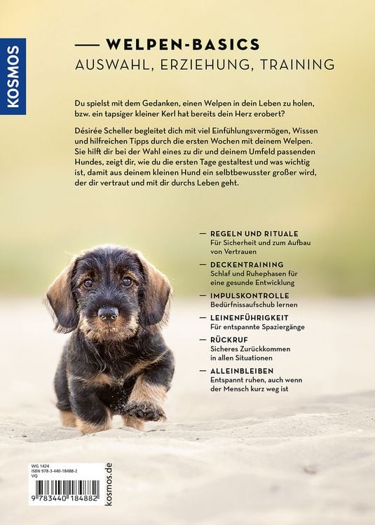 Produktbild: Welpen erziehen mit Erfolg