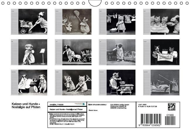 Produktbild: Katzen und Hunde - Nostalgie auf Pfoten (Wandkalender immerw&auml;hrend DIN A4 quer)