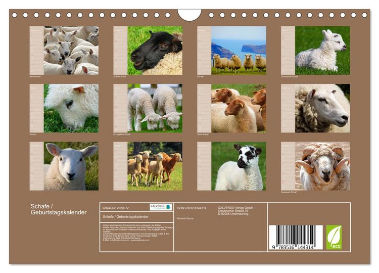 Produktbild: Schafe / Geburtstagskalender (Wandkalender 2026 DIN A4 quer), CALVENDO Monatskalender