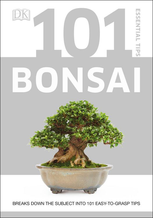 Produktbild: 101 Essential Tips Bonsai