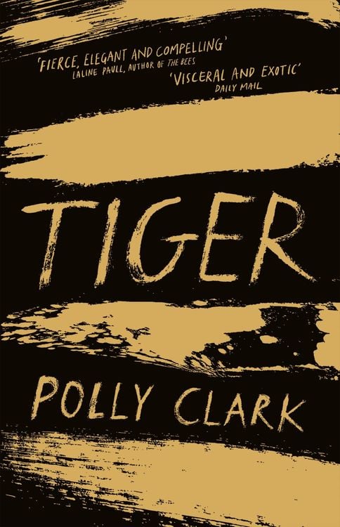 Bild vom Artikel Tiger vom Autor Polly Clark