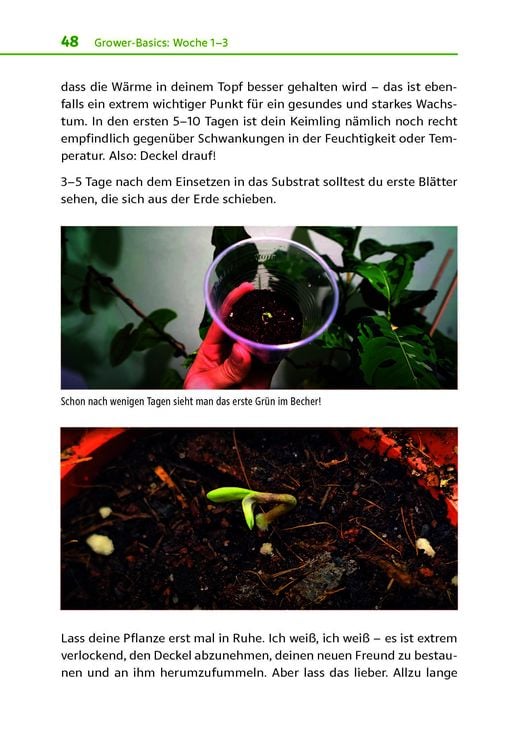 Produktbild: Cannabis zu Hause anbauen f&uuml;r Anf&auml;nger