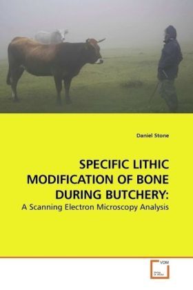 Produktbild: Stone, D: Specific Lithic Modification Of Bone During Butche