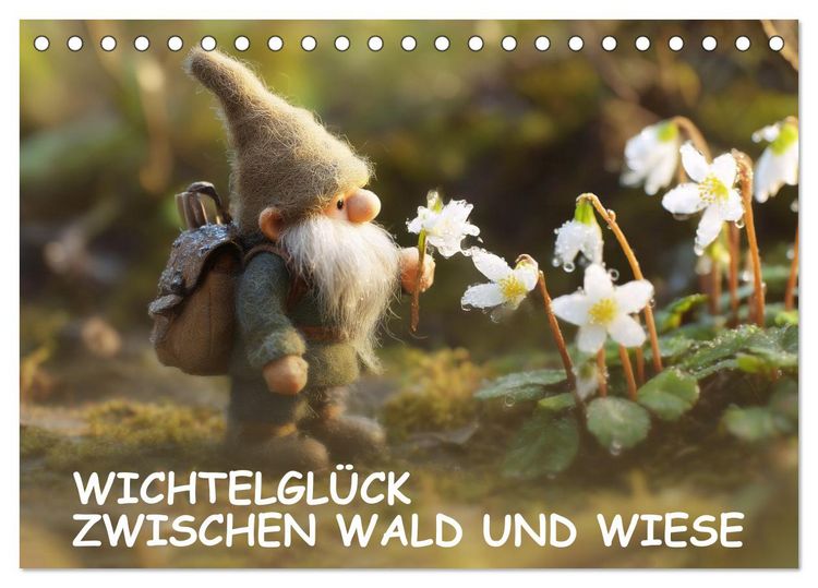 Produktbild: Wichtelgl&uuml;ck zwischen Wald und Wiese (Tischkalender 2027 DIN A5 quer), CALVENDO Monatskalender