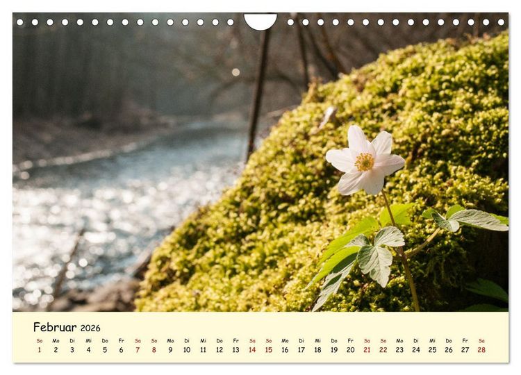Produktbild: M&uuml;ngstener Br&uuml;cke - Landschaft rund um Solingen (Wandkalender 2026 DIN A4 quer), CALVENDO Monatskalender