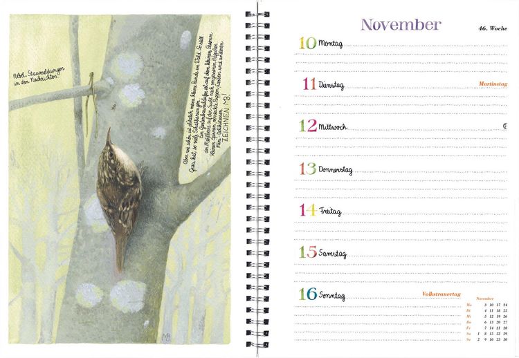 Produktbild: Naturkalender 2025