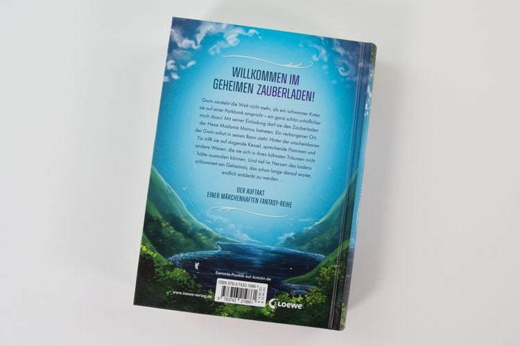 Produktbild: Gwin und das Herz des Drachen (Band 1)