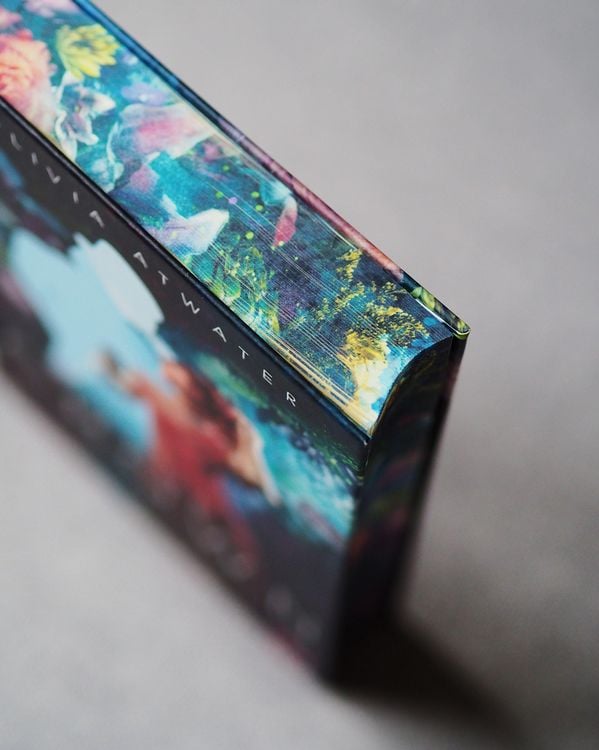 Produktbild: True Crown - Die Lady und der Lord Magier