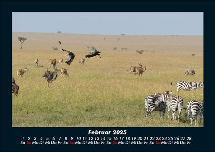 Produktbild: Der Tierkalender 2025 Fotokalender DIN A5