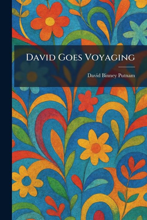Produktbild: David Goes Voyaging