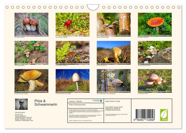 Produktbild: Pilze & Schwammerln (Wandkalender 2026 DIN A4 quer), CALVENDO Monatskalender