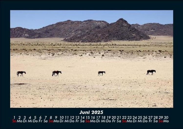 Produktbild: Pferde Kalender 2025 Fotokalender DIN A5