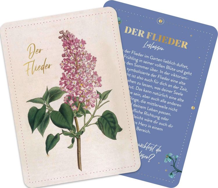 Produktbild: Die geheimnisvolle Sprache der Blumen &ndash; 50 Orakelkarten f&uuml;r das ganze Jahr
