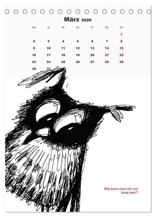 Produktbild: Vor dem Spiegel 2026 (Tischkalender 2026 DIN A5 hoch), CALVENDO Monatskalender