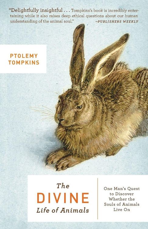 Produktbild: The Divine Life of Animals