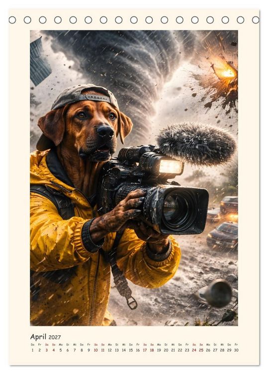 Produktbild: Rhodesian Ridgeback - Ein Hund mit vielen Talenten (Tischkalender 2027 DIN A5 hoch), CALVENDO Monatskalender