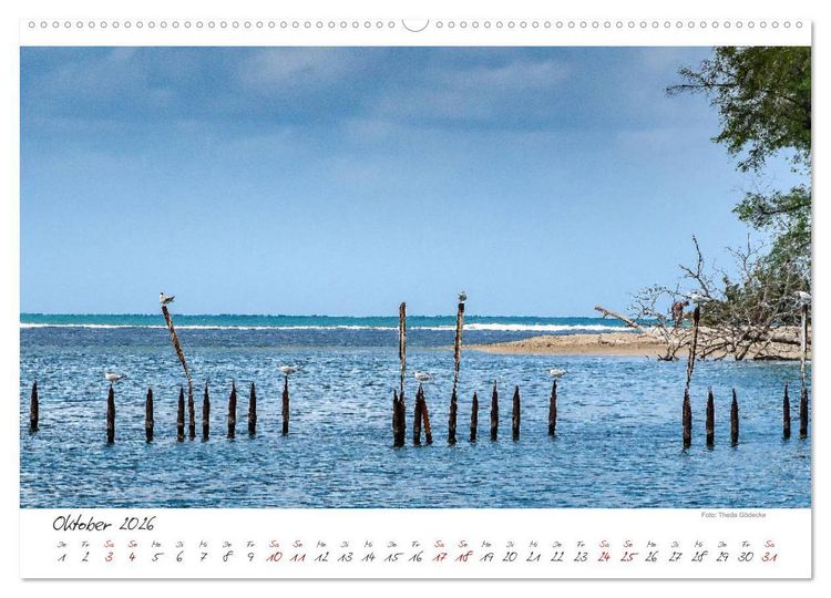 Produktbild: Natur pur, Costa Rica (hochwertiger Premium Wandkalender 2026 DIN A2 quer), Kunstdruck in Hochglanz