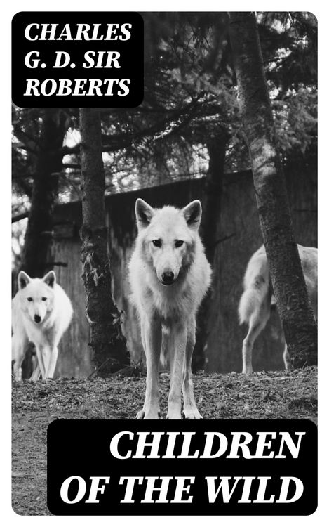 Produktbild: Children of the Wild