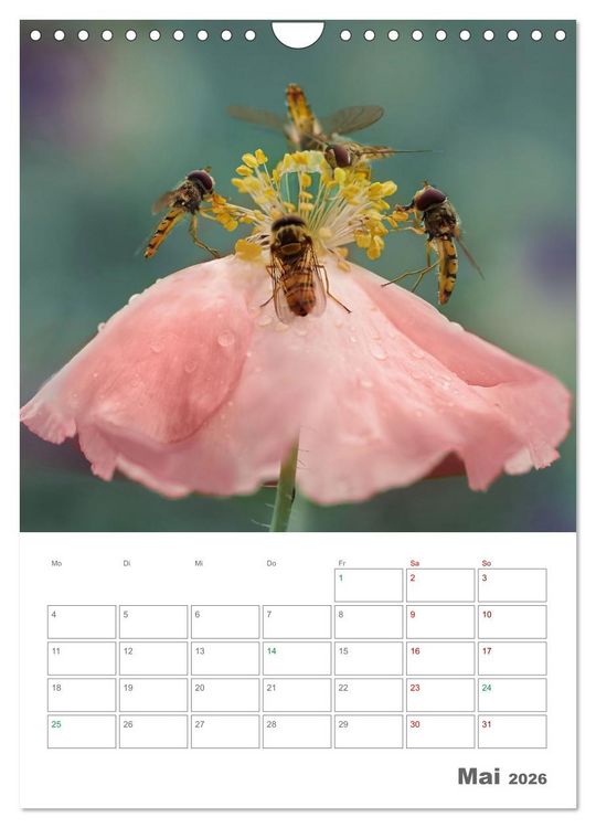 Produktbild: Helden in der Natur (Wandkalender 2026 DIN A4 hoch), CALVENDO Monatskalender