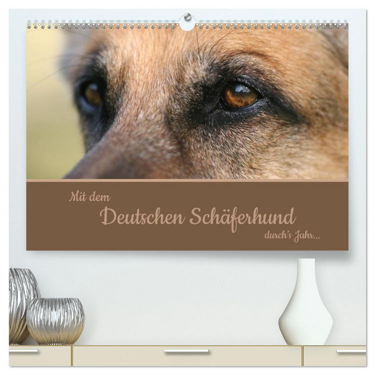 Produktbild: Mit dem Deutschen Sch&auml;ferhund durch's Jahr (hochwertiger Premium Wandkalender 2026 DIN A2 quer), Kunstdruck in Hochglanz