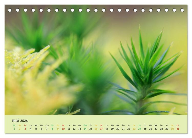 Produktbild: Le monde majestueux des mousses (Calendrier de bureau 2026 DIN A5 vertical), CALVENDO calendrier mensuel