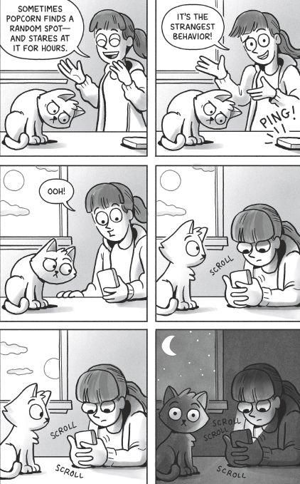 Produktbild: Look What the Cat Dragged In