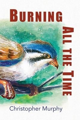 Produktbild: Burning All the Time