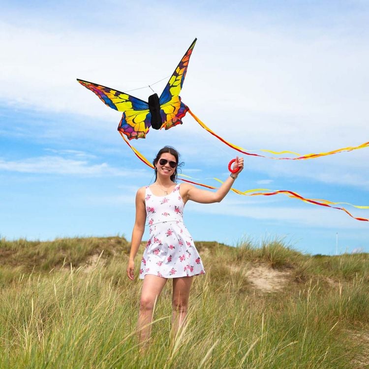 Produktbild: Butterfly Kite Swallowtail L, Schmetterling Drachen