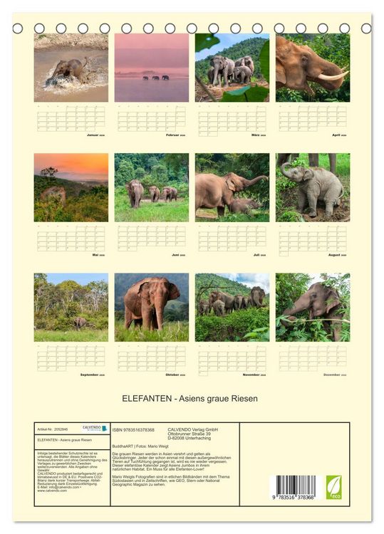 Produktbild: ELEFANTEN - Asiens graue Riesen (Tischkalender 2026 DIN A5 hoch), CALVENDO Monatskalender