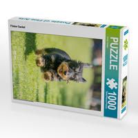 Produktbild: CALVENDO Puzzle Flinker Dackel 1000 Teile Lege-Gr&ouml;&szlig;e 48 x 64 cm Foto-Puzzle Bild von Sonja Tessen