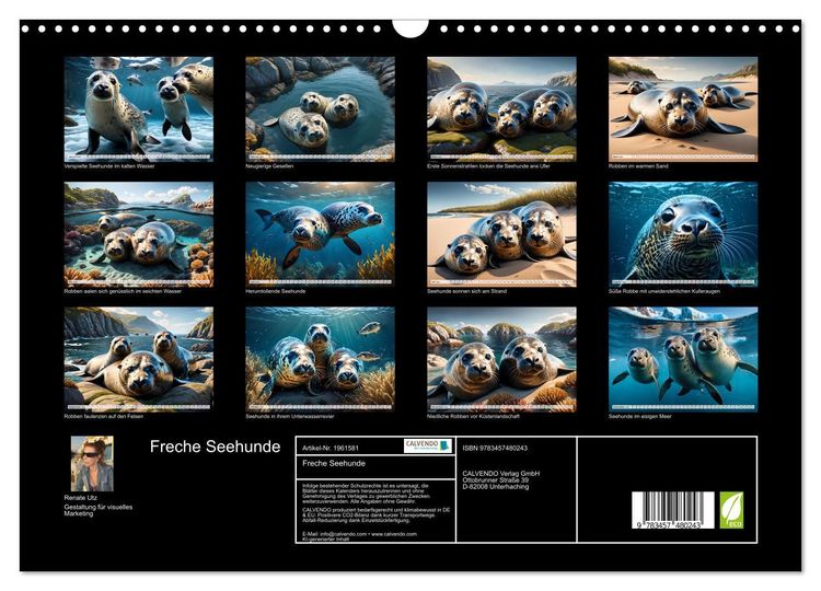 Produktbild: Freche Seehunde (Wandkalender 2026 DIN A3 quer), CALVENDO Monatskalender