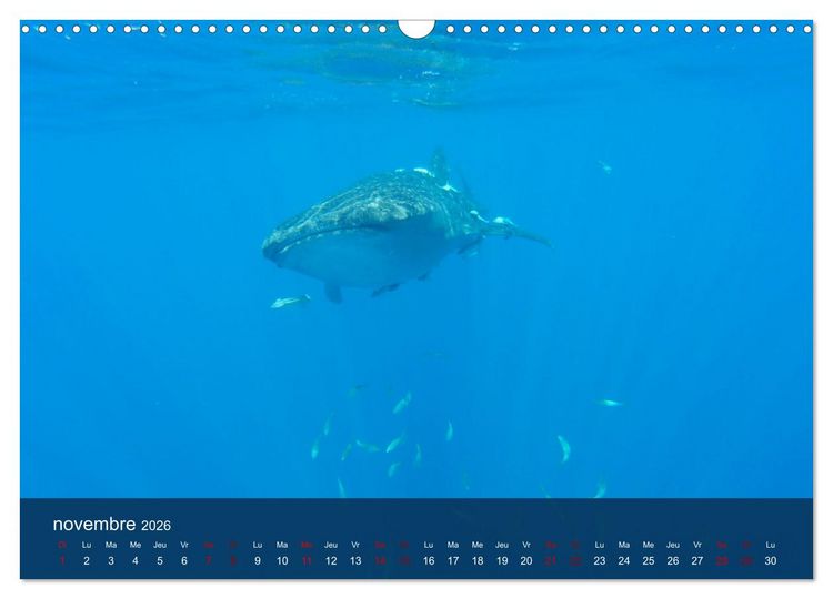 Produktbild: Autour de Nosy Be (Calendrier mural 2026 DIN A3 vertical), CALVENDO calendrier mensuel