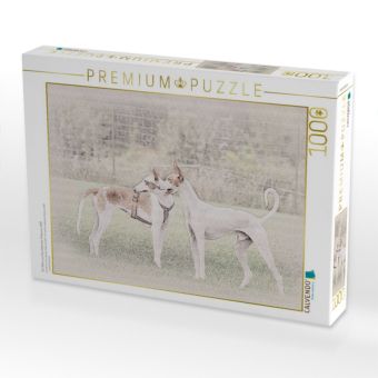 Produktbild: CALVENDO Puzzle Ein Motiv aus dem Kalender Podencos 2017 | 1000 Teile Lege-Gr&ouml;&szlig;e 64x48cm Foto-Puzzle f&uuml;r gl&uuml;ckliche Stunden