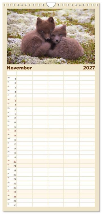 Produktbild: Familienplaner 2027 - Polarfuchs-Welpen mit 5 Spalten (Wandkalender, 21 x 45 cm) CALVENDO