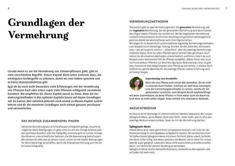 Produktbild: Grow your Jungle