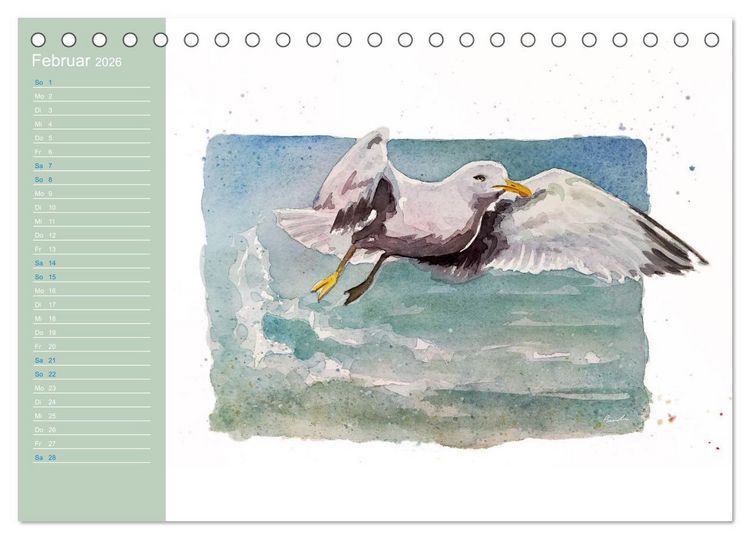 Produktbild: M&ouml;wen - Aquarelle von Julia Pasinski (Tischkalender 2026 DIN A5 quer), CALVENDO Monatskalender