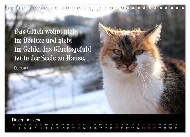 Produktbild: Gl&uuml;ckskatze - Mit Zitaten zum Thema Gl&uuml;ck (Wandkalender 2026 DIN A4 quer), CALVENDO Monatskalender
